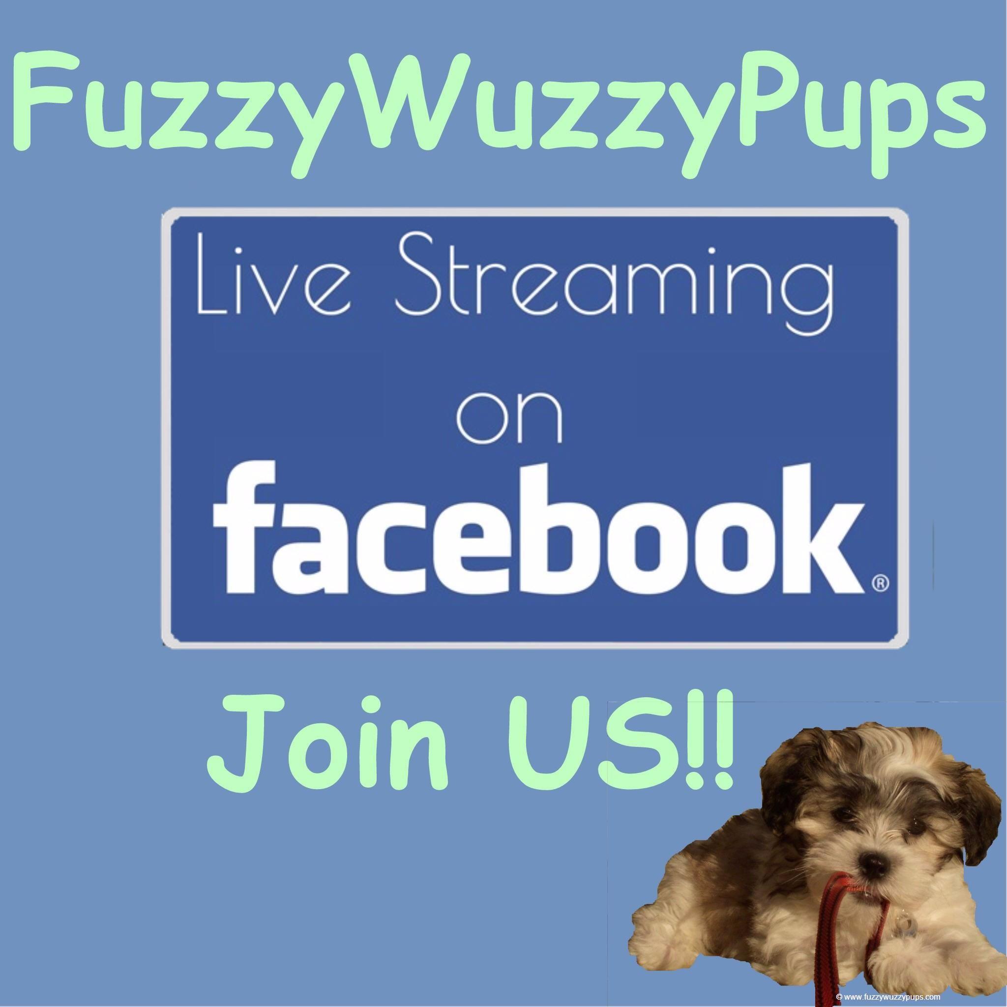 FUZZYWUZZYPUPS LIVE!! Join US...