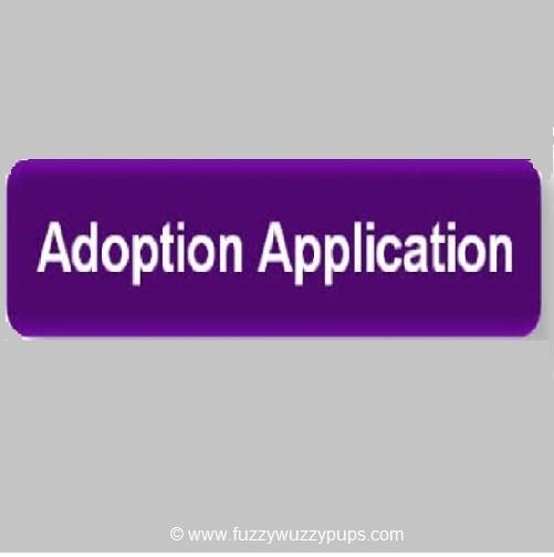 Click & scroll down to fillout our adopotion form