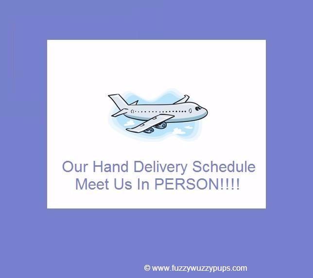 Hand Delivery Schedule --Meet Us In PERSON!!!
