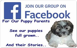 R Puppy Parent Facebook Group