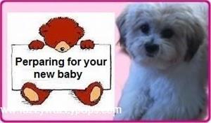 /images/puppies/large/151_private-nursery-pages-payment-section--preparing-for-your-new-baby_20191231091006065_perparing.jpg