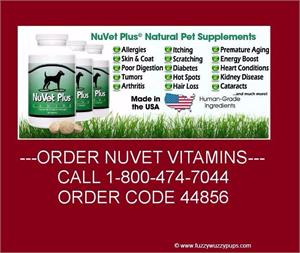 Order NuVet Vitamins- Call  1-800-474-7044 Order Code 44856