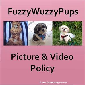Our Picture & Video Policy