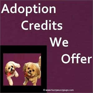 Adoption Credits-Save Money